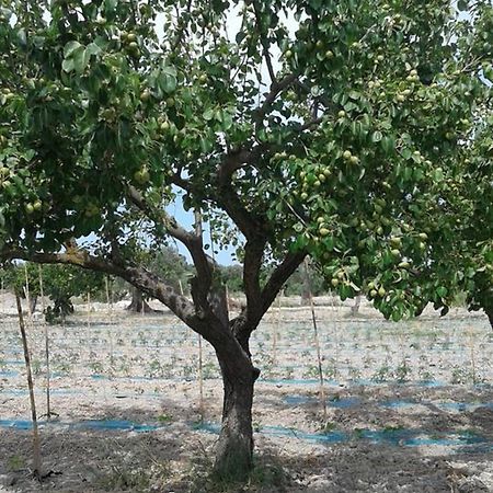 Agriturismo Donna Beatrice Bianco Ngoại thất bức ảnh