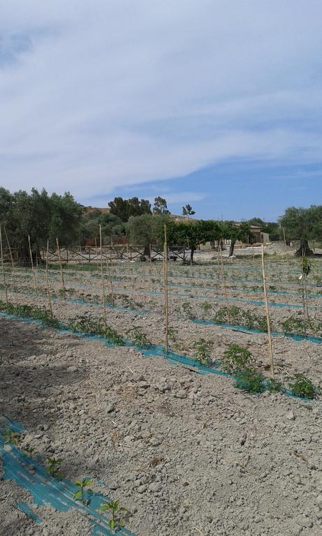 Agriturismo Donna Beatrice Bianco Ngoại thất bức ảnh