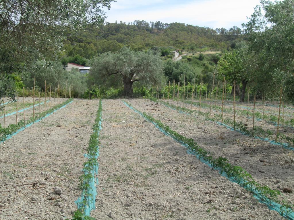 Agriturismo Donna Beatrice Bianco Ngoại thất bức ảnh